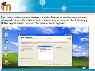 En el combo seleccionamos  Custom , i Apache Tomcat se está instalando en una máquina de desarrollo entonces mantenemos sin seleccionar el check Service y Native seguidamente hacemos clic sobre el botón siguiente 