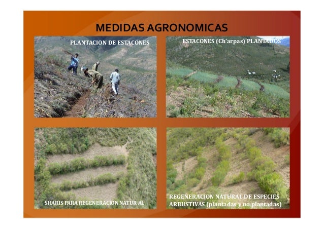 Experiencias campesinas en conservación de suelos en comunicades de l…