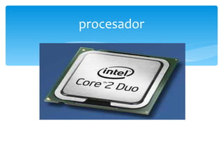 procesador 