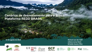 Cenários de desmatamento para o Brasil
Plataforma REDD BRASIL
15 de agosto de 2023 Richard van der Hoff
Juliana Leroy Davis
Britaldo Soares Filho
 