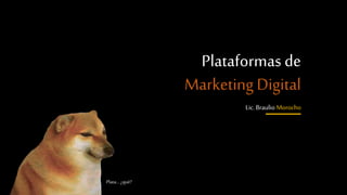 Plataformas de
Marketing Digital
Lic. Braulio Morocho
Plata… ¿qué?
 