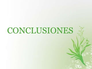 CONCLUSIONES 
