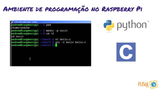 Ambiente de programação no Raspberry Pi
 