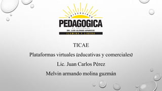 TICAE
Plataformas virtuales (educativas y comerciales)
Lic. Juan Carlos Pérez
Melvin armando molina guzmán
 