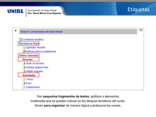 Conociendo mi Aula Virtual
Por: Rosa María Cruz Bejarán
Son pequeños fragmentos de textos, gráficos o elementos
multimedia que se pueden colocar en los bloques temáticos del curso.
Sirven para organizar de manera lógica y jerárquica los cursos.
Etiquetas
 