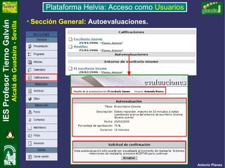 Plataforma Usuarios Internet