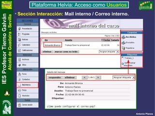 Plataforma Usuarios Internet