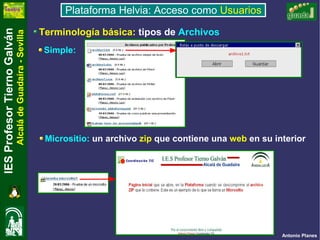 Plataforma Usuarios Internet