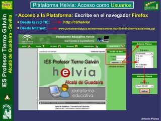 Plataforma Usuarios Internet