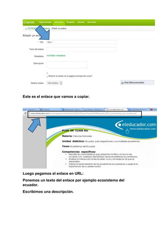 Este es el enlace que vamos a copiar.
Luego pegamos el enlace en URL:
Ponemos un texto del enlace por ejemplo ecosistema del
ecuador.
Escribimos una descripción.
 