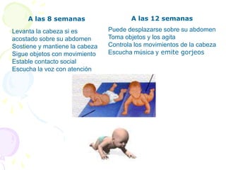 Los factores hereditarios, ambientales y físicos también influyen en el crecimiento psicomotor.PROCESO DEL DESARROLLO PSICOMOTORComprende: Logros psicológicos y de destreza motora. En un comienzo los cambios son rápidos y luego su velocidad disminuye sin detenerse hasta después de la pubertad.Los logros del desarrollo psicomotor, tienen guías según las cuales padres y médicos pueden evaluar su progresión y normalidad del niño. Algunas de estas guías son las siguientes: 