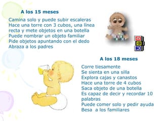 A las 16 semanasPuede elevar la cabeza y el tóraxPredomina la postura simétricaToma objetos y los lleva a la bocaSi se lo para se empuja con los piesRíe a carcajadasMuestra desagrado si los padres se alejanA las 28 semanasSe da vueltas y avanza empujándose con los piesPuede sentarse brevemente con apoyoPuede parase con apoyo y esbozar brincosTransfiere objetos de una mano a otraPuede emitir sonidos de más de una sílabaPrefiere a los conocidos y muestra desagrado a los desconocidos