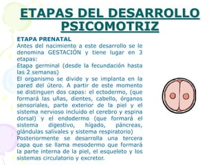 3.1. Desarrollo de las actividades práxicas y gnósticas en el párvuloNo basta la sola existencia de la actividad refleja, si no existe además, la natural contribución de la actividad espontánea del niño, en especial la actividad exploratoria y el juego activo, que dan lugar a la organización de las práxias y gnosias.3.1.1. Las PráxiasMovimientos organizados, producto de procesos de aprendizaje previos que tienden a un objetivo determinado:Movimientos efectuados con los labios para mostrar los dientesSacar la lenguaCerrar los ojosPatear una pelotaHacer nudosTrenzarEl logro de las práxias incluye la automatización de éstas, puesto que ya son producto del aprendizaje.En algunos casos las práxias se identifican como hábitos motores, como es el caso de “empuñar la cuchara o el tenedor”Las práxias manuales comienzan a partir de la prensión refleja, que se va adecuando y llegándose a regularse gradualmente, de este modo el niñ@ llega a conformar múltiples estereotipos manuales que van incorporando más práxias y nuevas destrezas motoras. 