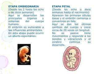 3.1.2. Las GnosiasSon resultado de procesos de aprendizaje en los que intervienen diferentes analizadores perceptivos de la información aferente.Existen simples y complejas. Entre las simples se consideran gnosias táctiles, como la diferenciación entre lo duro y lo blando o gnosias auditivas, como la diferenciación y reconocimiento de ruidos. Entre las complejas citaremos las visomotoras, espaciales y visomotoras – auditivas. Es probable que una de las más complejas sea el esquema corporal. Es importante reforzar las gnosias visoespaciales, ya que ayudan al aprendizaje de la lectoescritura. De todo lo anterior se desprende la importancia del juego que junto con las diversas actividades que realizamos en el jardín de infantes desempeñan una importante función en el reforzamiento y consolidación de las gnosias. 