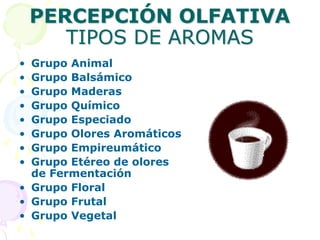 UNIDAD 3EDUCACIÓN SENSORIAL PARA EL DESARROLLO NORMAL DE LOS NIÑOS