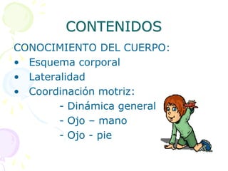 DISPOSICIÓN DEL MATERIALSENSORIOMOTOR:Espacio para descubrir lo que se puede o no se puede hacer con el cuerpo y los objetos.Propioceptiva: Se produce a través de las sensaciones recibidas desde los terminales sensitivos.Interceptiva y viceroperceptiva: impresiones recibidas de la parte interna del cuerpo y de las vísceras.  LOS DESPLAZAMIENTOSSegmentarios
