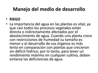 Manejo del medio de desarrollo
• RIEGO
• La importancia del agua en las plantas es vital, ya
que casi todos los procesos vegetales están
directa o indirectamente afectados por el
abastecimiento de agua. Cuando una planta crece
con restricciones de humedad su tamaño es
menor y el desarrollo de sus órganos es más
lento en comparación con plantas que crecieron
sin déficit hídrico; por lo tanto, para tener un
rendimiento máximo en cualquier cultivo, deben
evitarse las deficiencias de agua.
 