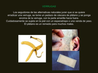 VERRUGAS Los seguidores de las alternativas naturales juran que si se quiere erradicar una verruga, se tome un pedazo de cáscara de plátano y se ponga encima de la verruga, con la parte amarilla hacia fuera. Cuidadosamente se sujeta en la piel con un esparadrapo o una venda de yeso. El plátano es un remedio para muchos males. 