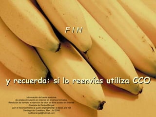 F I N Información de fuente anónima de amplia circulación en internet en diversos formatos. Reedición de formato e inserción de fotos de libre acceso en internet Coretsía de Carlos Rangel Con el reconocimiento a quien originalmente  lo lanzó a la red Santiago de Querétaro, Mex. Jul.2008 [email_address] y recuerda: si lo reenvías utiliza  CCO 