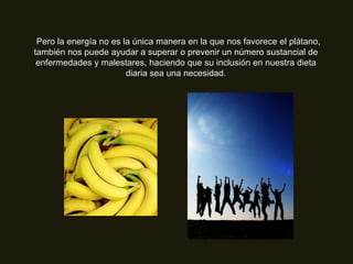    Pero la energía no es la única manera en la que nos favorece el plátano, también nos puede ayudar a superar o prevenir un número sustancial de enfermedades y malestares, haciendo que su inclusión en nuestra dieta diaria sea una necesidad. 