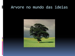 Arvore no mundo das ideias
 