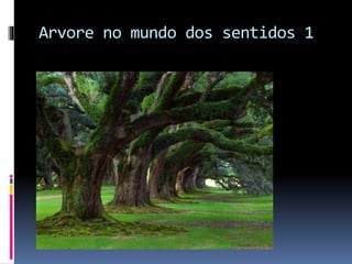 Arvore no mundo dos sentidos 1
 
