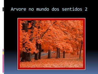 Arvore no mundo dos sentidos 2
 