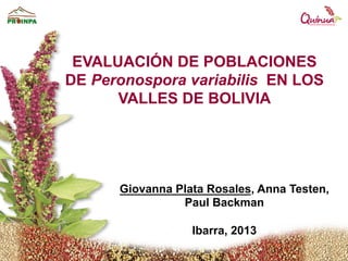 EVALUACIÓN DE POBLACIONES
DE Peronospora variabilis EN LOS
VALLES DE BOLIVIA
Giovanna Plata Rosales, Anna Testen,
Paul Backman
Ibarra, 2013
 