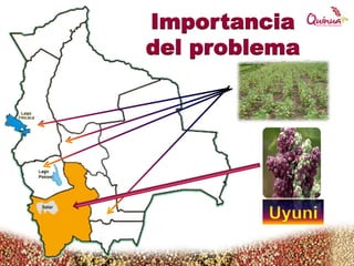 Importancia
del problema
Uyuni
 