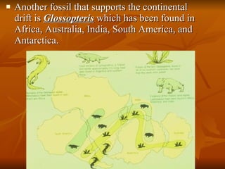 Another fossil that supports the continental drift is  Glossopteris  which has been found in Africa, Australia, India, South America, and Antarctica. 