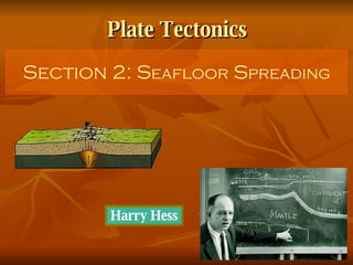 Plate Tectonics Section 2: S eafloor  S preading Harry Hess 