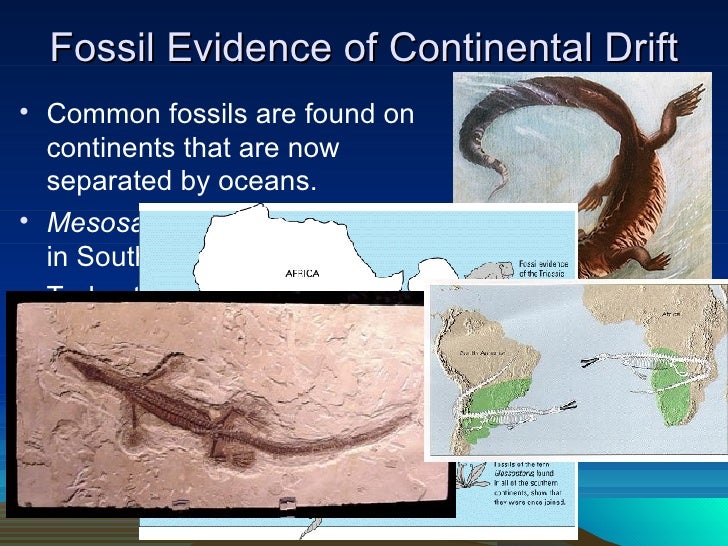 Plate Tectonics 9