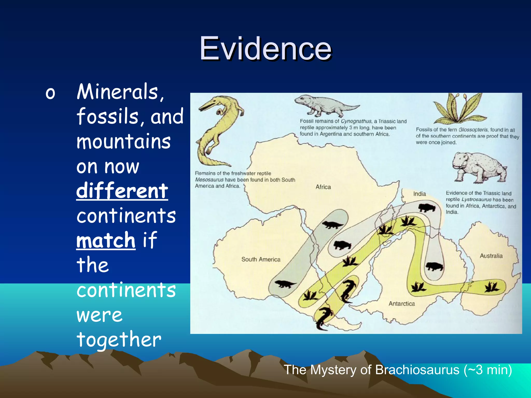 o Minerals,
fossils, and
mountains
on now
different
continents
match if
the
continents
were
together
EvidenceEvidence
The Mystery of Brachiosaurus (~3 min)
 