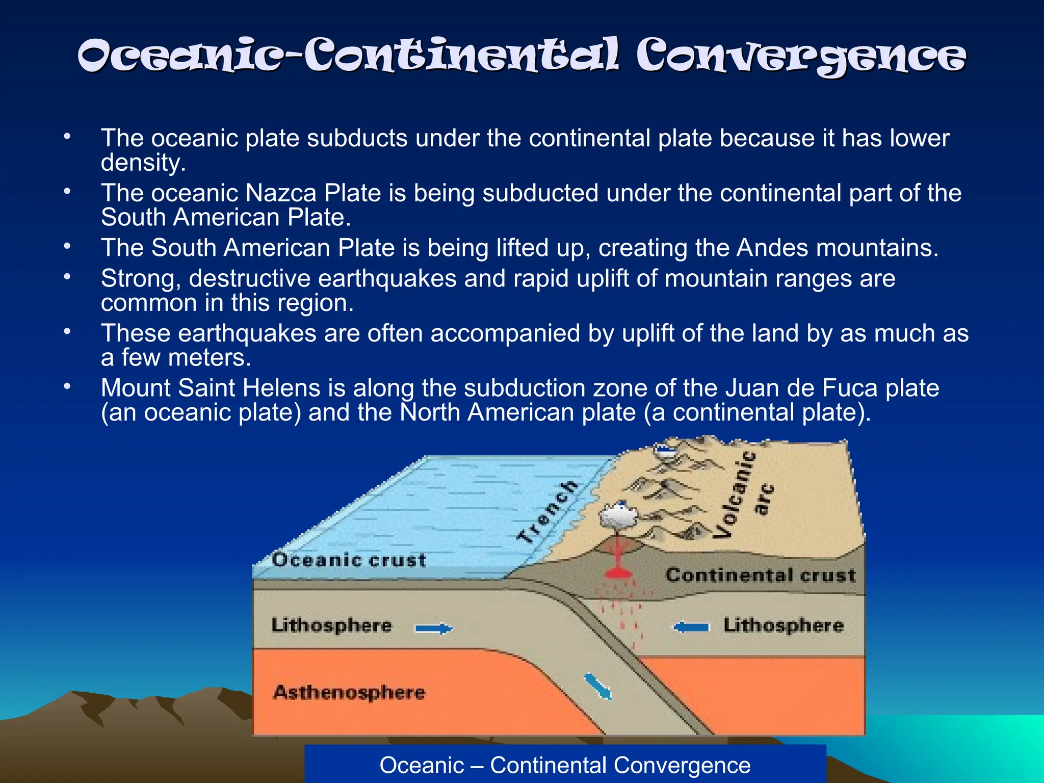 Oceanic-Continental Convergence
Oceanic-Continental Convergence
• The oceanic plate subducts under the continental plate because it has lower
density.
• The oceanic Nazca Plate is being subducted under the continental part of the
South American Plate.
• The South American Plate is being lifted up, creating the Andes mountains.
• Strong, destructive earthquakes and rapid uplift of mountain ranges are
common in this region.
• These earthquakes are often accompanied by uplift of the land by as much as
a few meters.
• Mount Saint Helens is along the subduction zone of the Juan de Fuca plate
(an oceanic plate) and the North American plate (a continental plate).
Oceanic – Continental Convergence
 