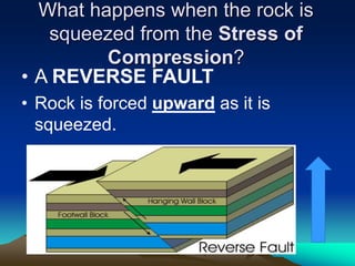 What happens when the rock is
squeezed from the Stress of
Compression?
• A REVERSE FAULT
• Rock is forced upward as it is
squeezed.
 