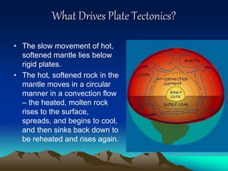 What Drives Plate Tectonics?
• The slow movement of hot,
softened mantle lies below
rigid plates.
• The hot, softened rock in the
mantle moves in a circular
manner in a convection flow
– the heated, molten rock
rises to the surface,
spreads, and begins to cool,
and then sinks back down to
be reheated and rises again.
 