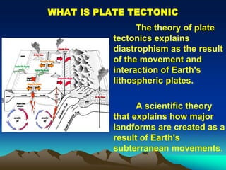 WHAT IS PLATE TECTONIC
The theory of plate
tectonics explains
diastrophism as the result
of the movement and
interaction of Earth's
lithospheric plates.
A scientific theory
that explains how major
landforms are created as a
result of Earth's
subterranean movements.
 