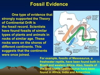 One type of evidence that
strongly supported the Theory
of Continental Drift is
the fossil record. Scientists
have found fossils of similar
types of plants and animals in
rocks of similar age. These
rocks were on the shores of
different continents. This
suggests that the continents
were once joined.
For example, fossils of Mesosaurus, a
freshwater reptile, have been found both in
Brazil and western Africa. Also, fossils of
the land reptile Lystrosaurus have been
found in Africa, India and Antarctica.
Fossil Evidence
 