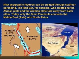 New geographic features can be created through seafloor
spreading. The Red Sea, for example, was created as the
African plate and the Arabian plate tore away from each
other. Today, only the Sinai Peninsula connects the
Middle East (Asia) with North Africa.
 