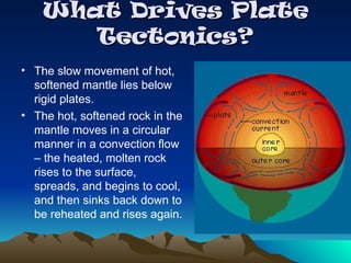 What Drives Plate
What Drives Plate
Tectonics?
Tectonics?
• The slow movement of hot,
softened mantle lies below
rigid plates.
• The hot, softened rock in the
mantle moves in a circular
manner in a convection flow
– the heated, molten rock
rises to the surface,
spreads, and begins to cool,
and then sinks back down to
be reheated and rises again.
 