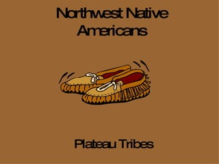 Northwest Native Americans Plateau Tribes 