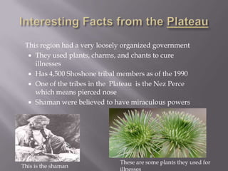 This region had a very loosely organized government
   They used plants, charms, and chants to cure
    illnesses
   Has 4,500 Shoshone tribal members as of the 1990
   One of the tribes in the Plateau is the Nez Perce
    which means pierced nose
   Shaman were believed to have miraculous powers




                              These are some plants they used for
This is the shaman
                              illnesses
 