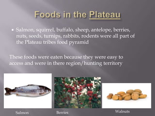    Salmon, squirrel, buffalo, sheep, antelope, berries,
    nuts, seeds, turnips, rabbits, rodents were all part of
    the Plateau tribes food pyramid

These foods were eaten because they were easy to
access and were in there region/hunting territory




    Salmon            Berries                    Walnuts
 