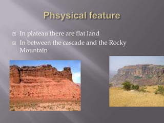  In plateau there are flat land
In between the cascade and the Rocky
Mountain
