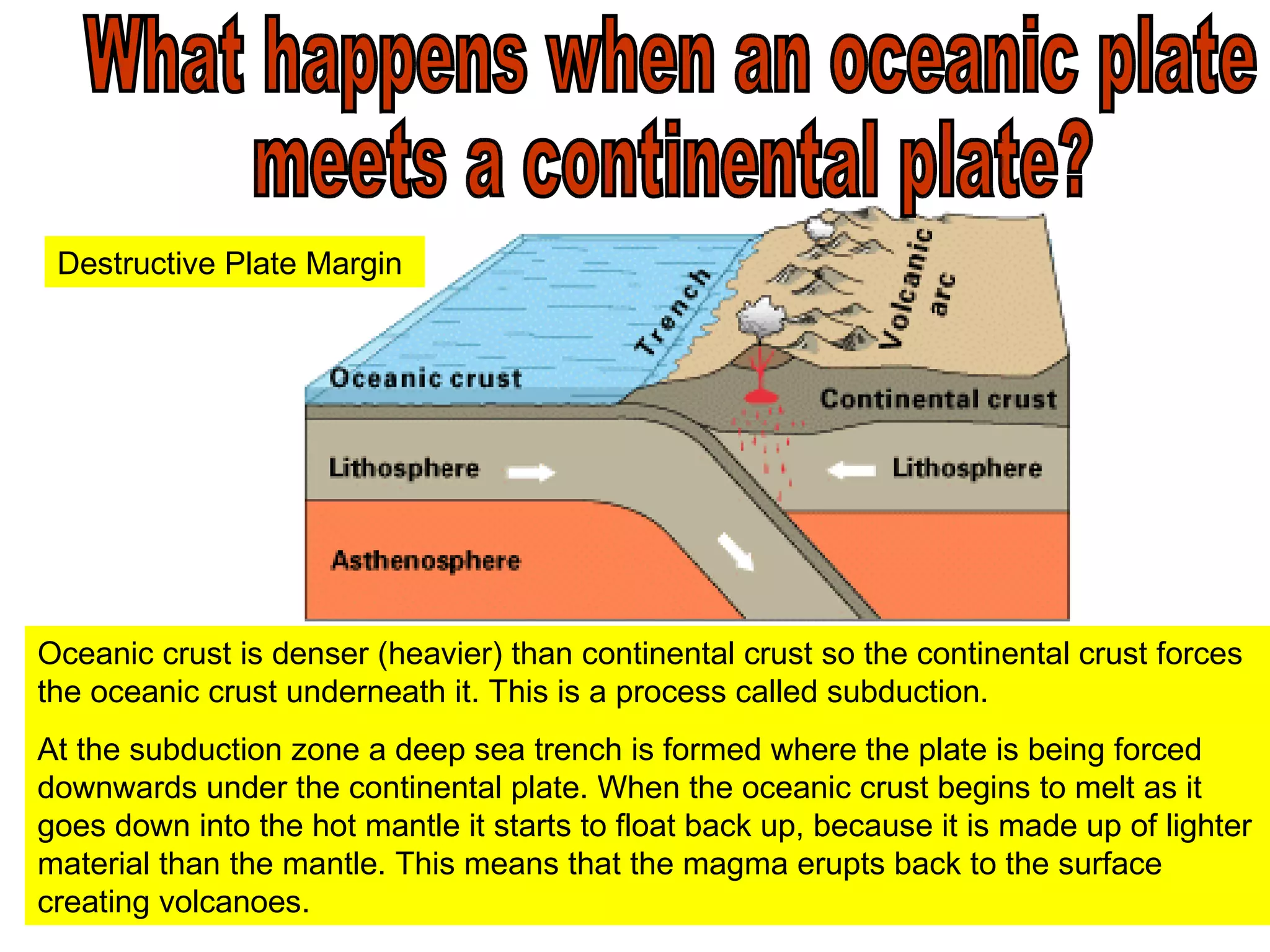 What happens when an oceanic plate  meets a continental plate? Oceanic crust is denser (heavier) than continental crust so the continental crust forces the oceanic crust underneath it. This is a process called subduction.  At the subduction zone a deep sea trench is formed where the plate is being forced downwards under the continental plate. When the oceanic crust begins to melt as it goes down into the hot mantle it starts to float back up, because it is made up of lighter material than the mantle. This means that the magma erupts back to the surface creating volcanoes. Destructive Plate Margin 
