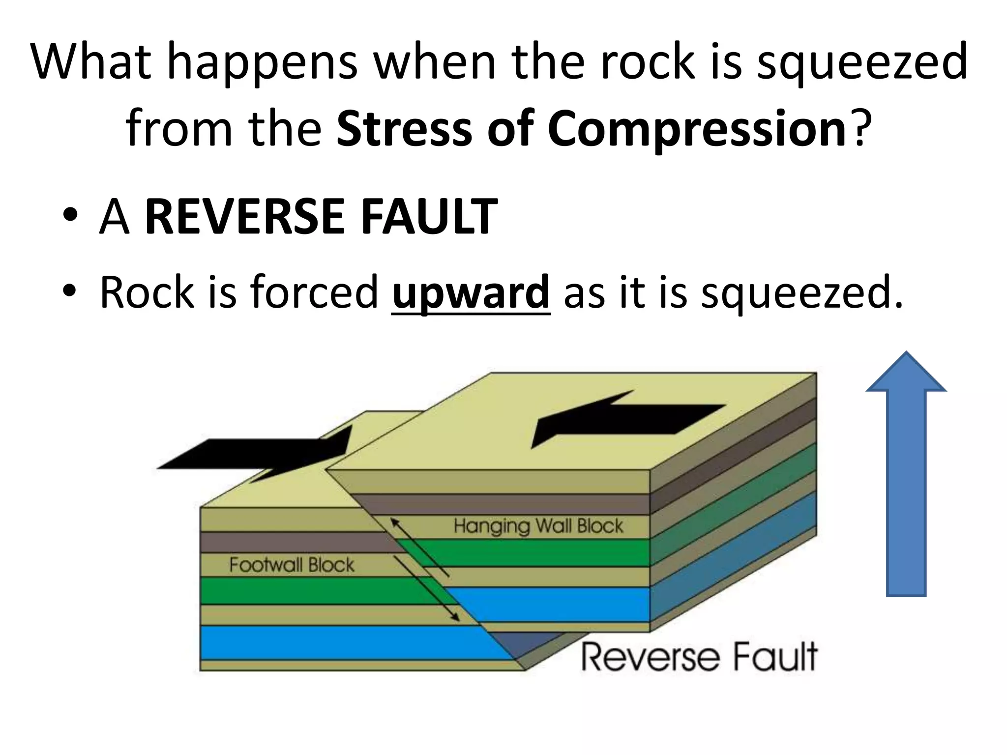 What happens when the rock is squeezed
from the Stress of Compression?
• A REVERSE FAULT
• Rock is forced upward as it is squeezed.
 