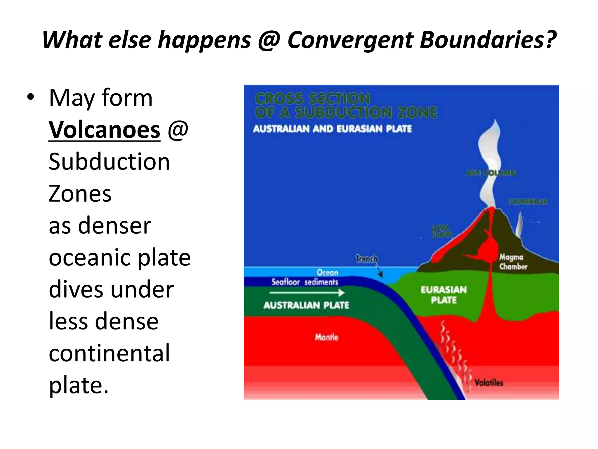 • May form
Volcanoes @
Subduction
Zones
as denser
oceanic plate
dives under
less dense
continental
plate.
What else happens @ Convergent Boundaries?
 