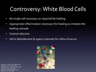 PRP Clinical “Cartilage” Studies
 Trial type       Classification of PRP Method of PRP                 Study outcome –    Reference
                  (Dohan Ehrenfest,     application to                effects due to PRP
                  2010)                 joint
 Case report      Platelet and leucocyte      CaCl2 –activated        Returned to play     Sanchez, 2003
                  concentrations not          injected between        soccer at 18 weeks
                  reported                    fragment and its bed

 Pilot study      PRP in combination with     Bone marrow stem      Improved Lysholm and   Haleem, 2010
                  PR-FG, platelet but no      cells on PRP scaffold RHSSK at 6 scores at
                  leucocyte concentrations                          6 and 12 months
                  reported
 Prospective      P-PRP                       3 weekly injections     Decreased pain and   Sanchez, 2008
 cohort of PRP                                                        improved WOMAC
 vs hyaluronic                                                        scores at 6 months
 acid
 Prospective      Platelet but no leucocyte   4 injections every 21   Improved IKDC and    Kon, 2010
 clinical trial   concentrations reported     days                    EQ VAS scores at 6
                                                                      and 12 months

Fortier, Cole et al. OTSM 2011.

Clinical impression: pain relief before functional tissue regeneration
 