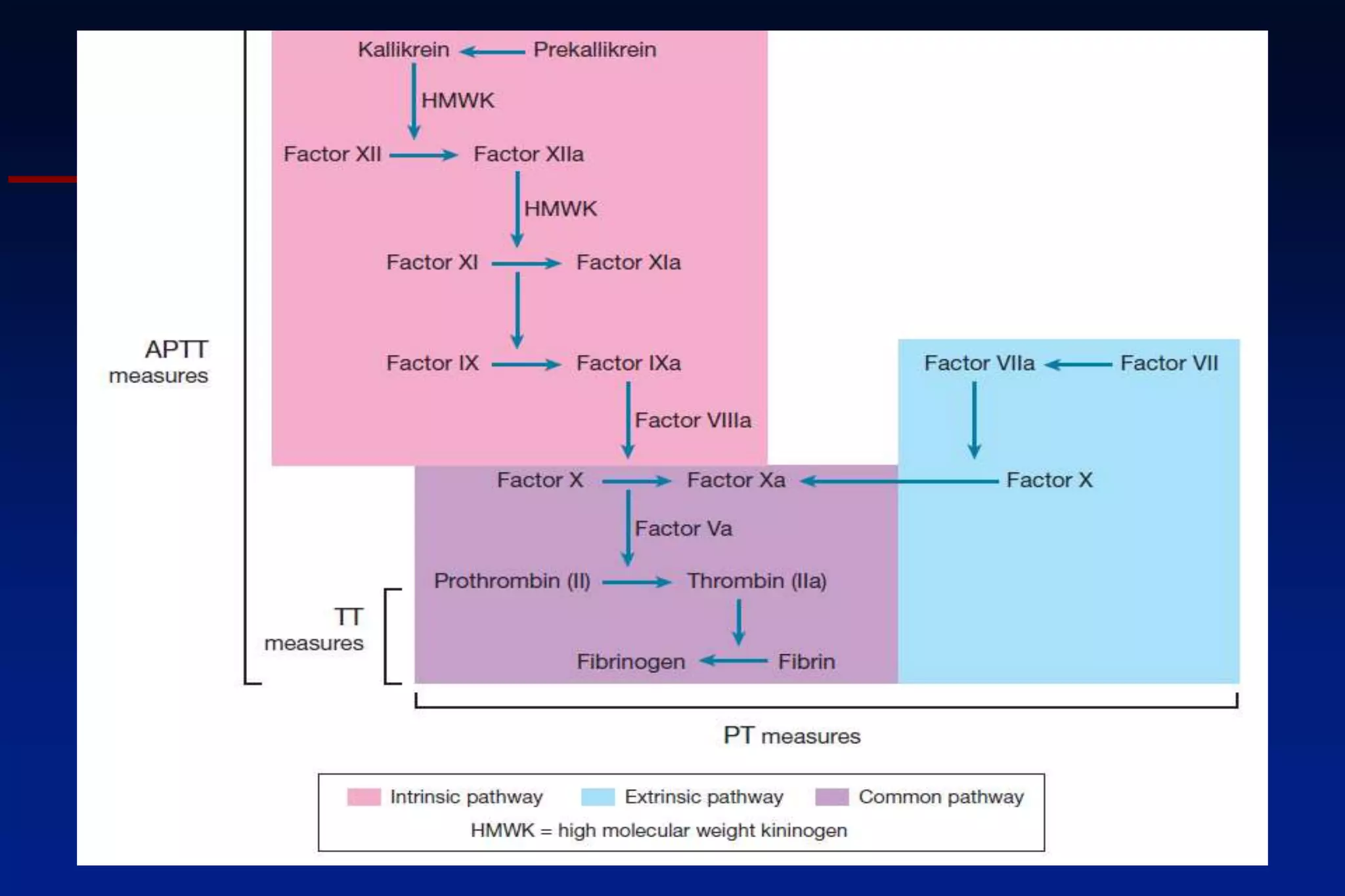 Platelet and coagulation post graduate lecture | PPTX
