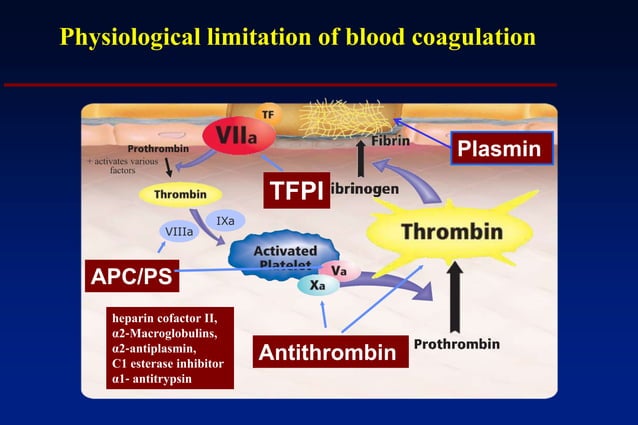 Platelet and coagulation post graduate lecture | PPTX